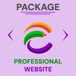 Professional Website Design Package